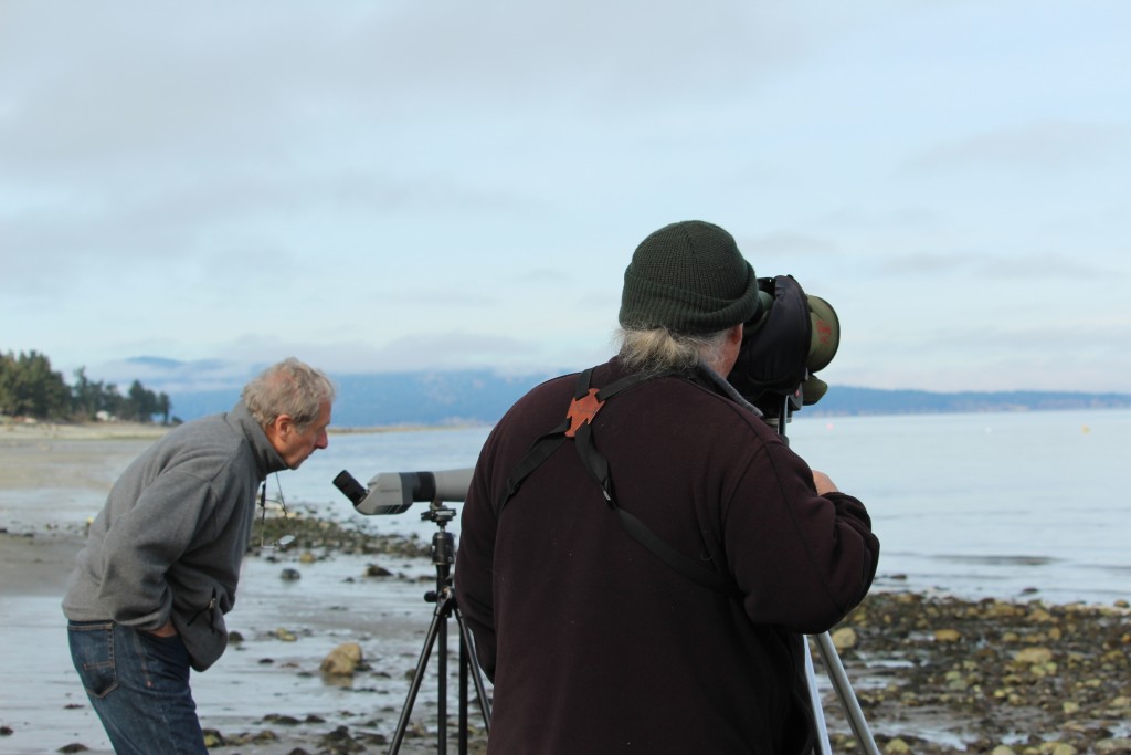 Birding with Bryan Gates and Guy Monty