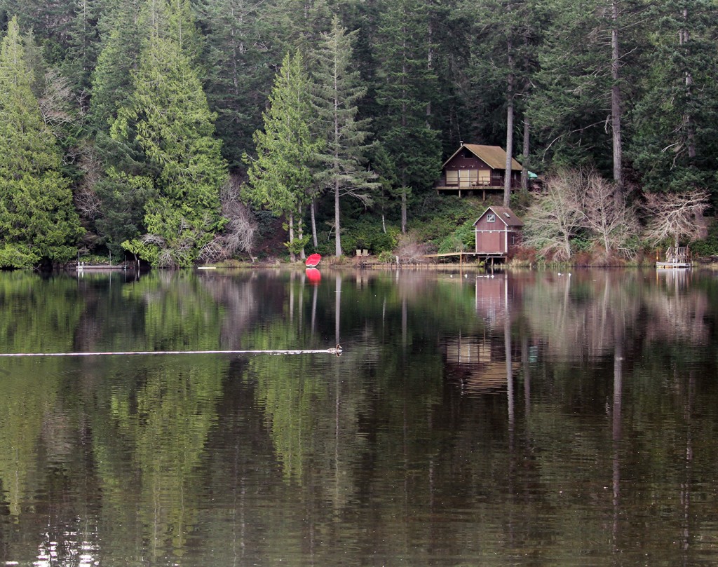 kemp lake